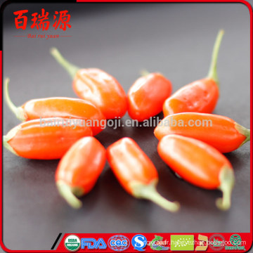 Goji pas cher prix frais goji berry ningxia goji berry avec des prix bas